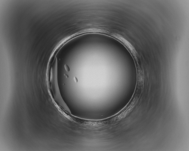X0000116440910200912081554