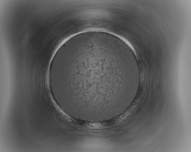 X0000116440911200912081554