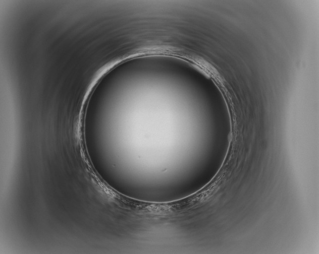 X0000116440912200912081554