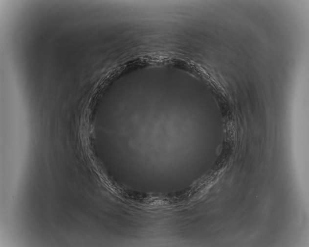 X0000116440913200912081553