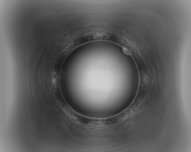 X0000116440914200912081553