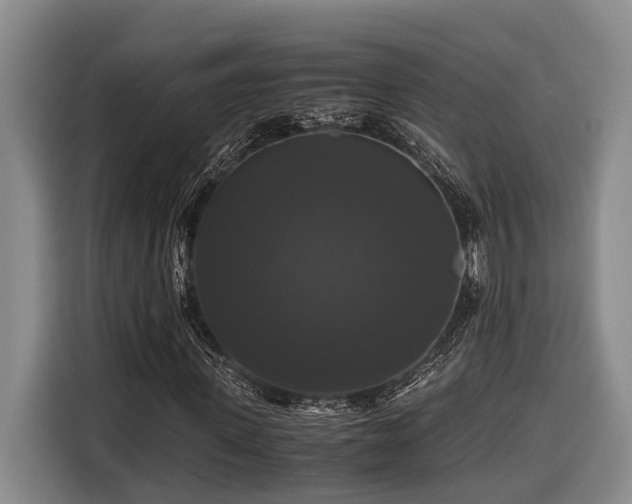 X0000116440915200912081553