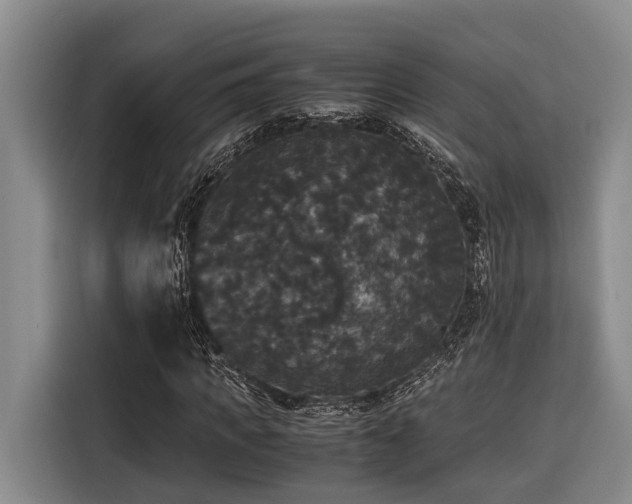 X0000116440917200912081553