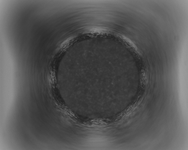 X0000116440918200912081553
