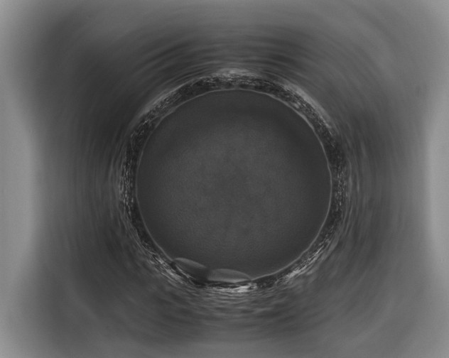 X0000116440919200912081553