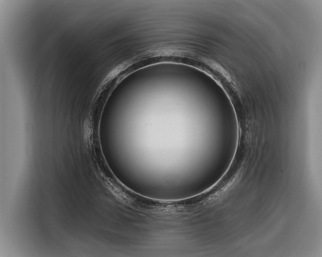 X0000116440922200912081553