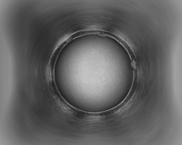 X0000116440925200912081553