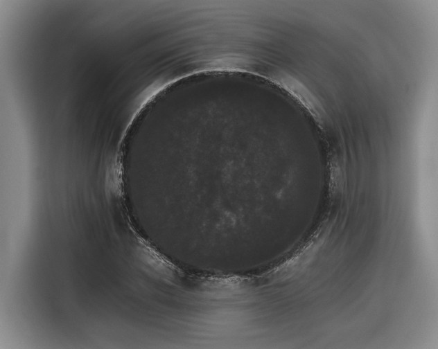 X0000116440926200912081553