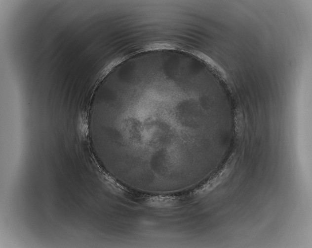 X0000116440929200912081553
