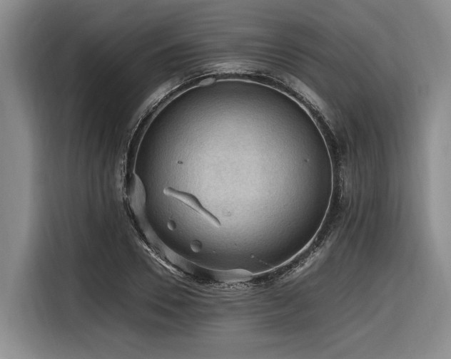 X0000116440930200912081553