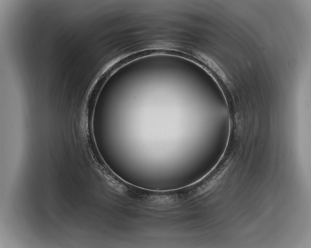 X0000116440931200912081553