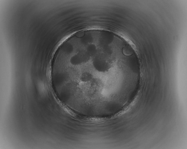 X0000116440933200912081553