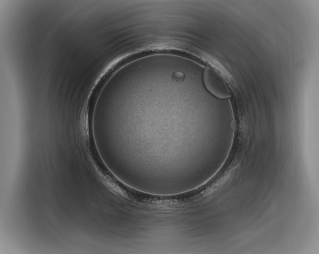 X0000116440934200912081553