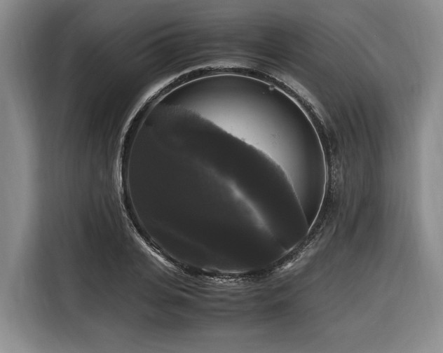 X0000116440935200912081553