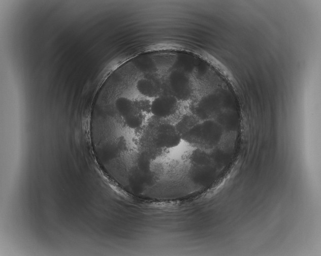 X0000116440937200912081553