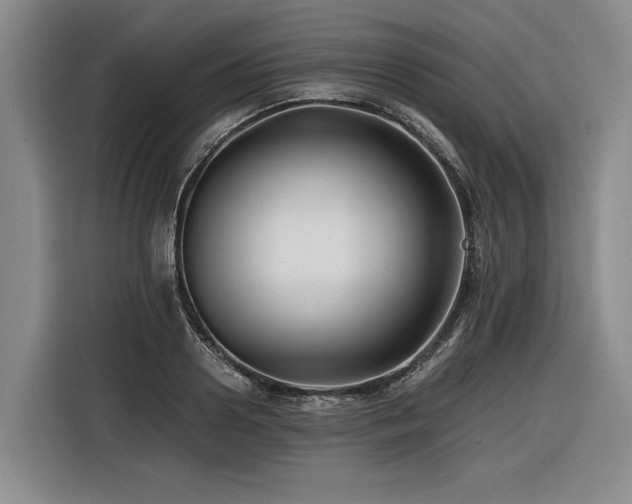 X0000116440938200912081553