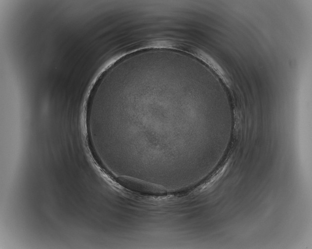 X0000116440939200912081553