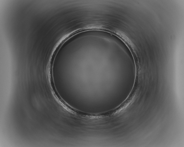 X0000116440941200912081553