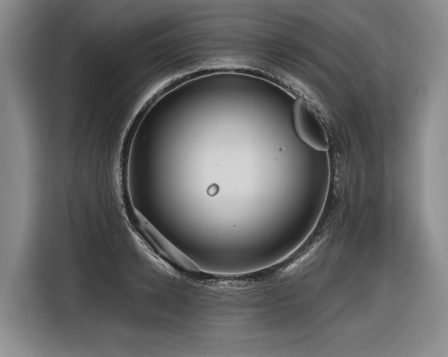 X0000116440942200912081553
