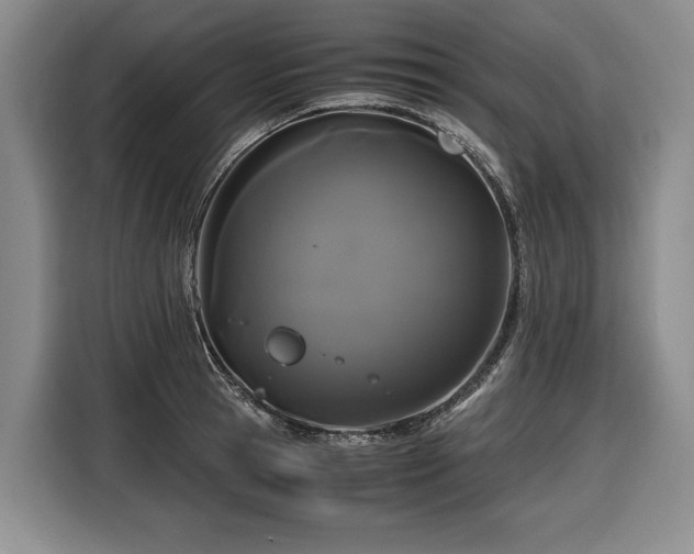 X0000116440945200912081553