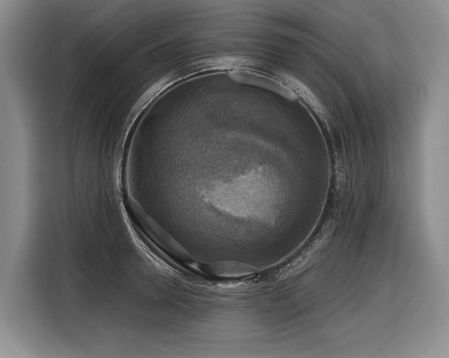 X0000116440946200912081554
