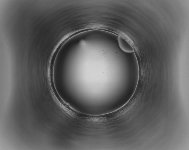 X0000116440947200912081554