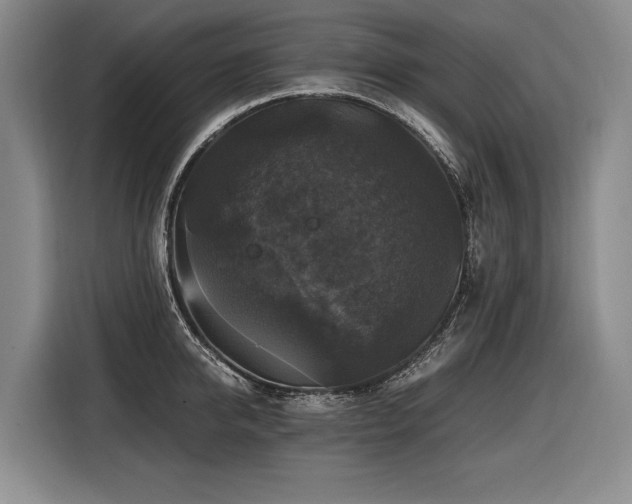 X0000116440950200912081554