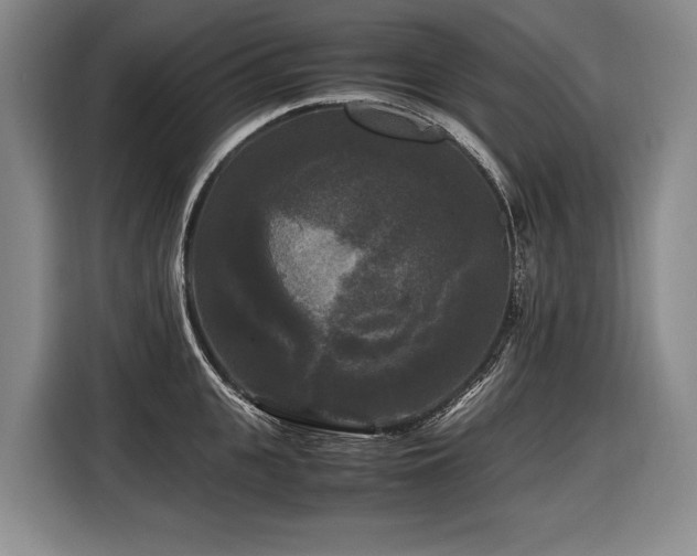 X0000116440951200912081554