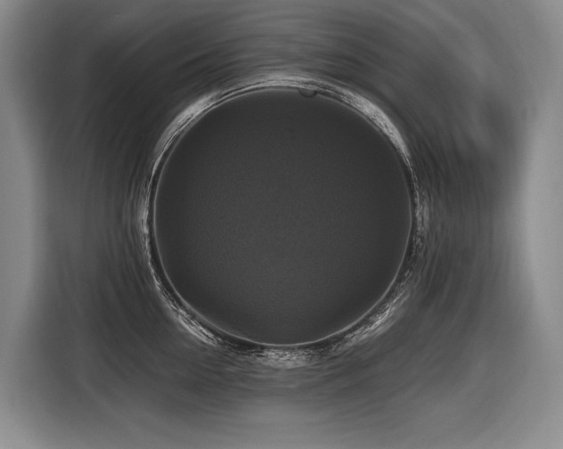 X0000116440954200912081554