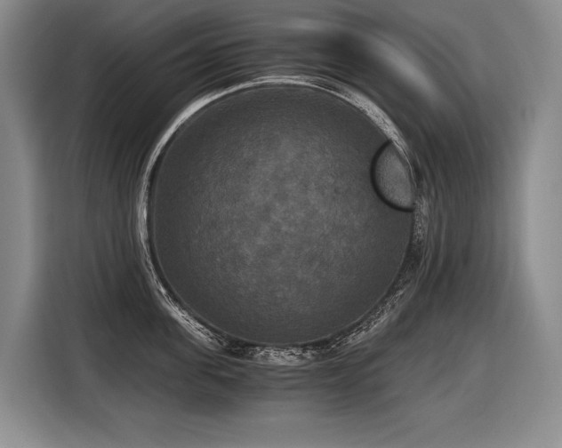 X0000116440955200912081554