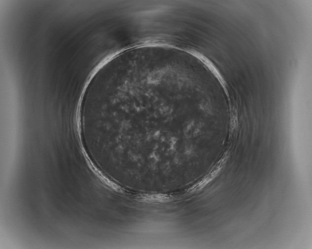 X0000116440957200912081554