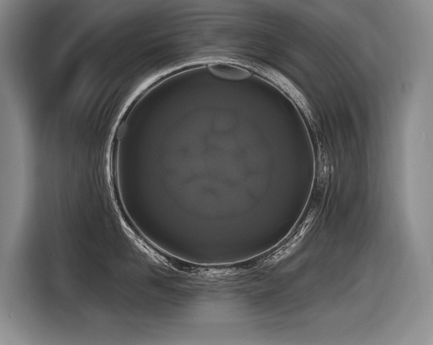 X0000116440958200912081554