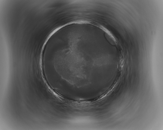X0000116440959200912081554