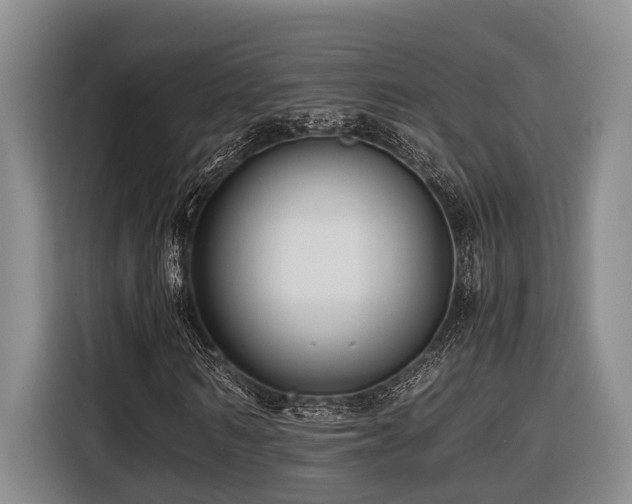 X0000116440962200912081553