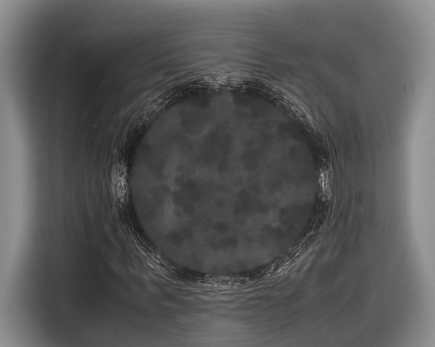 X0000116440963200912081553