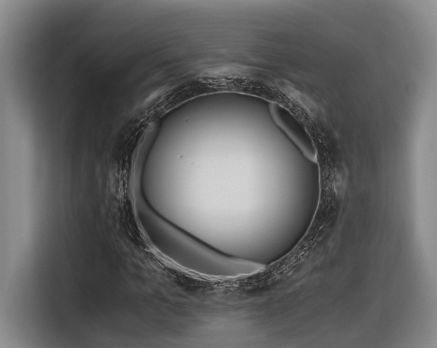 X0000116440965200912081553