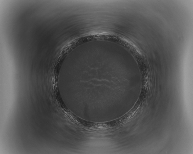 X0000116440966200912081553