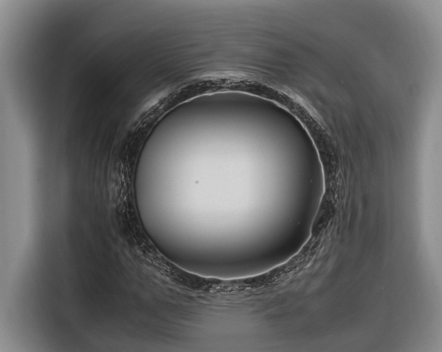 X0000116440967200912081553