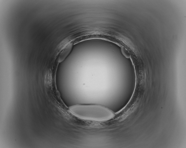 X0000116440969200912081553