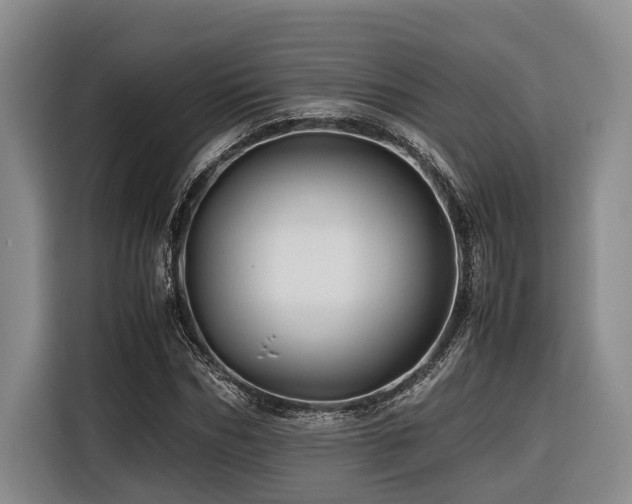 X0000116440970200912081553