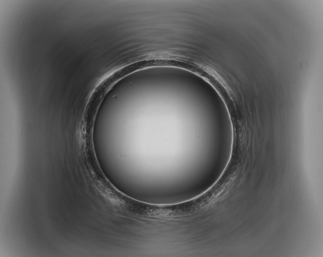 X0000116440971200912081553