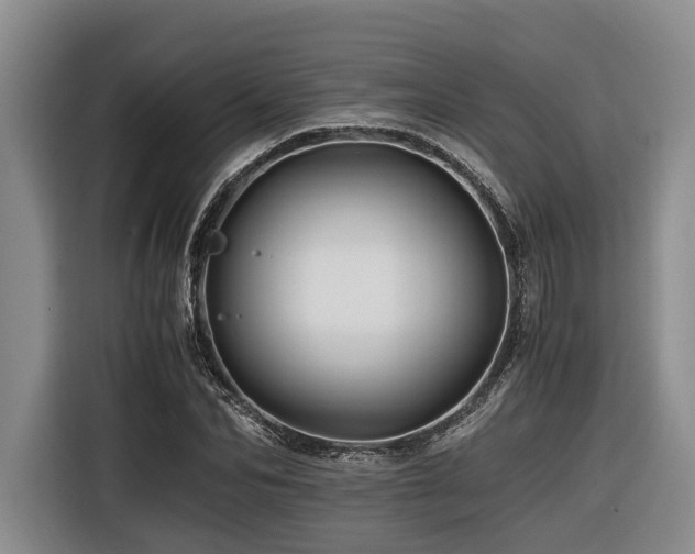 X0000116440974200912081553
