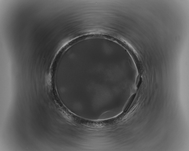 X0000116440975200912081553