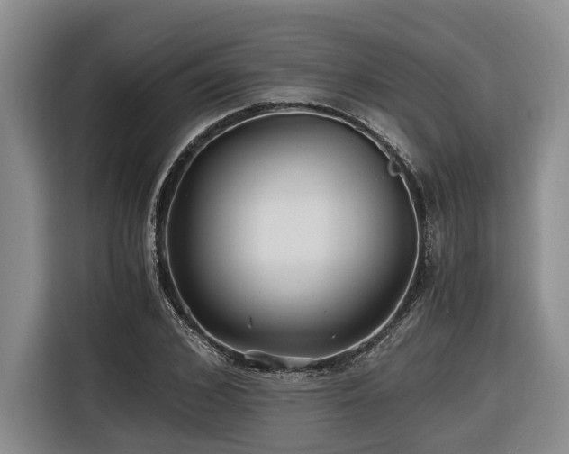 X0000116440976200912081553