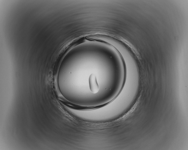 X0000116440977200912081553