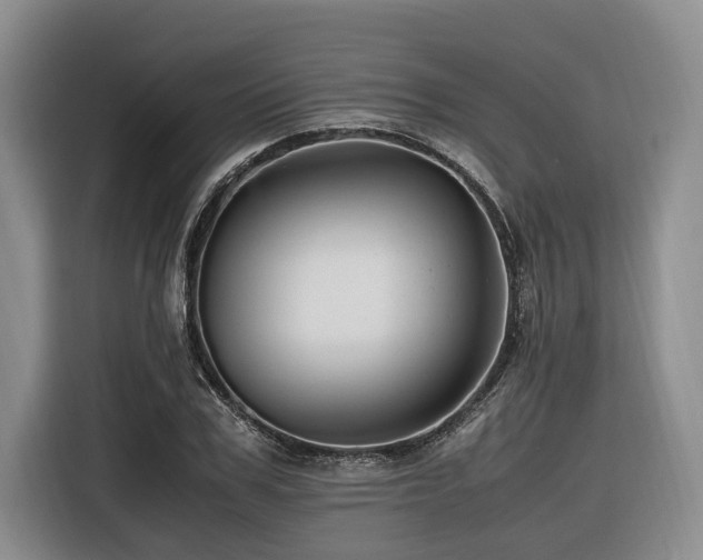 X0000116440979200912081553