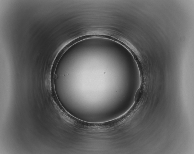 X0000116440980200912081553