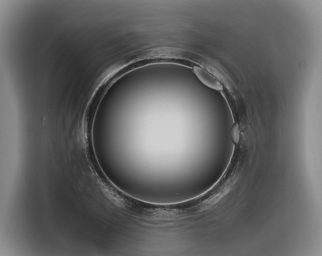 X0000116440981200912081553