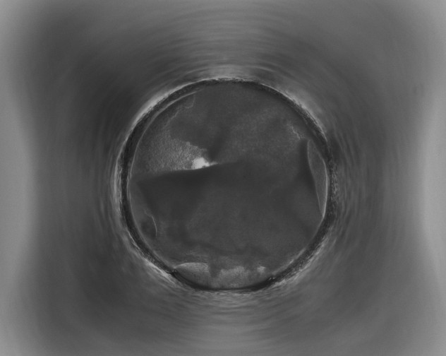 X0000116440983200912081553