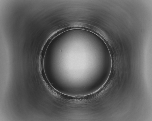 X0000116440984200912081553